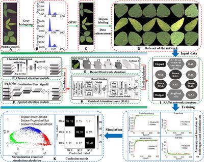 A Recognition Method of Soybean Leaf Diseases Based on an Improved Deep Learning Model